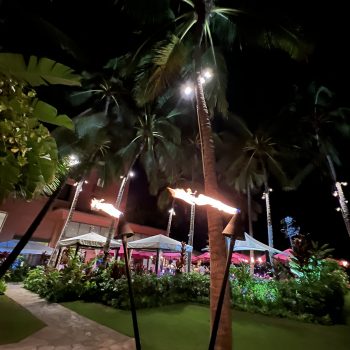 Solo travel during the holidays can be rewarding, such as exploring tropic night scenes alone.