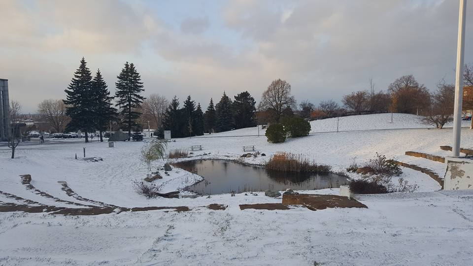 A photo of Alexandra's campus in the winter.