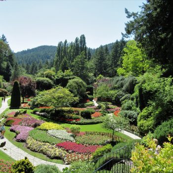The beautiful Butchart Gardens during a sunny day