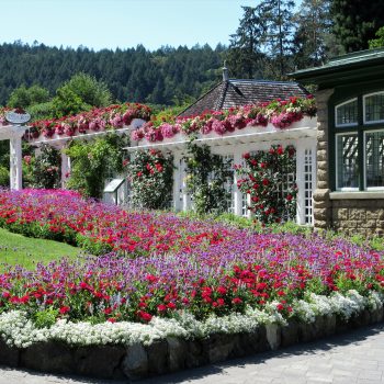 A patio in Butchart Gardens