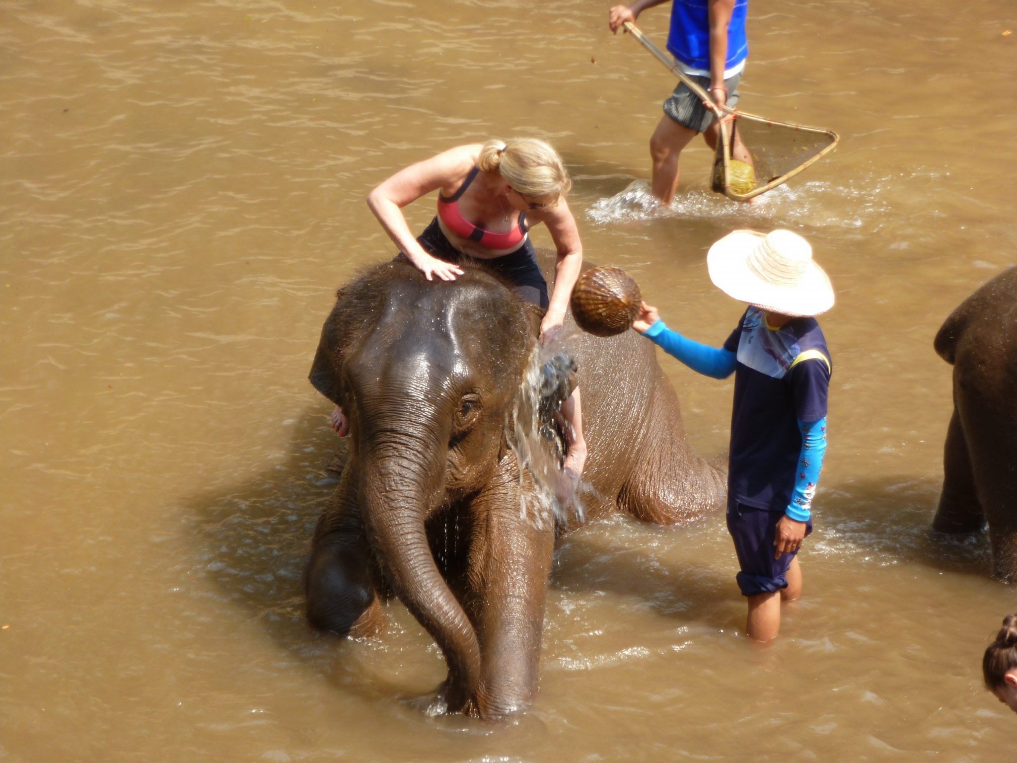 Elephant taking a bath, copyright ANIMONDIAL