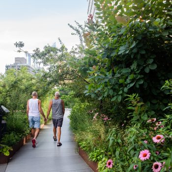 The High Line. Photo by Liz Ligon. Courtesy of the High Line.