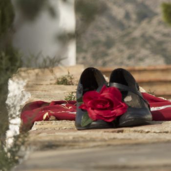 Kira's flamenco shoes, mantón, and flower