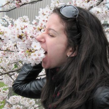 Maria savours the flavour of cherry tree blossom in Japan