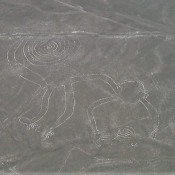 The Nazca's monkey from the sky, one of the top things to do in Peru before leaving.