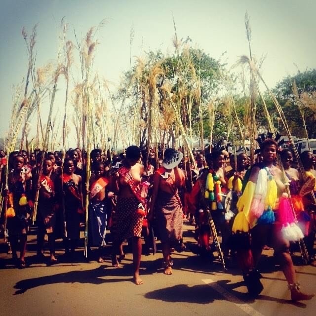 Umhlanga, the Reed Dance, a National Ceremony that Rachel observed during her time with the Peace Corps