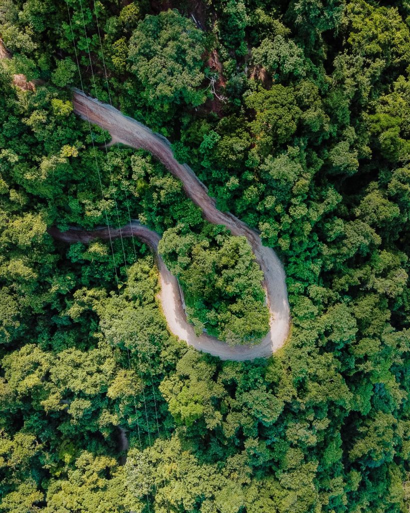 An image of a road cutting through jungle from above.