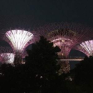 The Garden Light Show at Marina Bay Sands